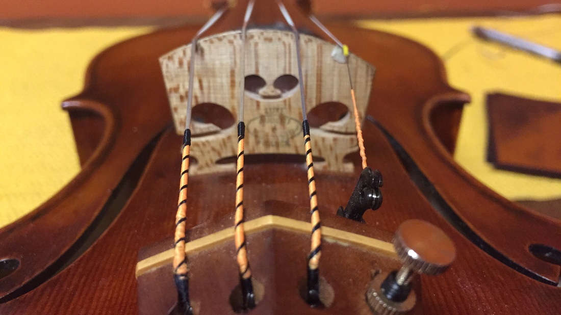 Evah Pirazzi Gold Viola String Set 4/4 up to 16.5" Medium 